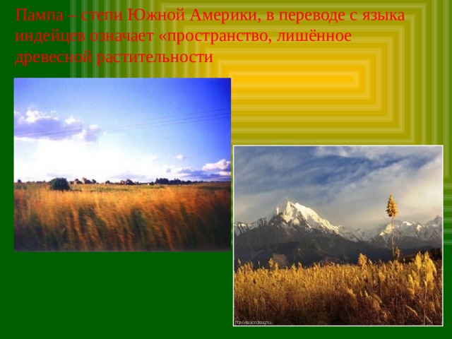 Пампа – степи Южной Америки, в переводе с языка индейцев означает «пространство, лишённое древесной растительности 
