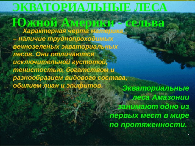 ЭКВАТОРИАЛЬНЫЕ ЛЕСА Южной Америки - сельва   Характерная черта материка – наличие труднопроходимых вечнозеленых экваториальных лесов. Они отличаются исключительной густотой, тенистостью, богатством и разнообразием видового состава, обилием лиан и эпифитов.    Экваториальные леса Амазонии занимают одно из первых мест в мире по протяженности. . 