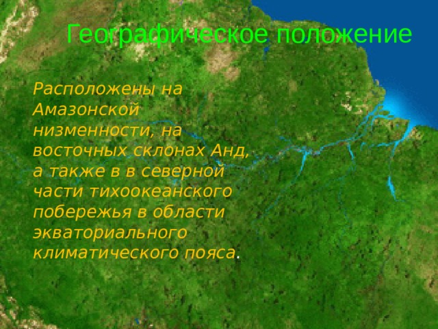 Географическое положение  Расположены на Амазонской низменности, на восточных склонах Анд, а также в в северной части тихоокеанского побережья в области экваториального климатического пояса .  