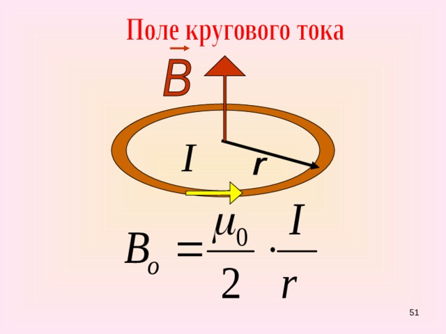 51 