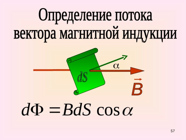  55 