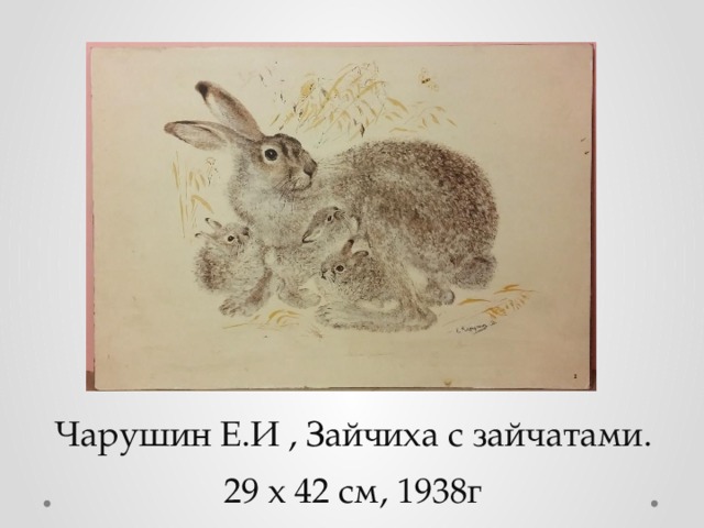 Чарушин Е.И , Зайчиха с зайчатами. 29 х 42 см, 1938г 