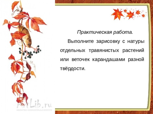 Практическая работа.  Выполните зарисовку с натуры отдельных травянистых растений или веточек карандашами разной твёрдости. 