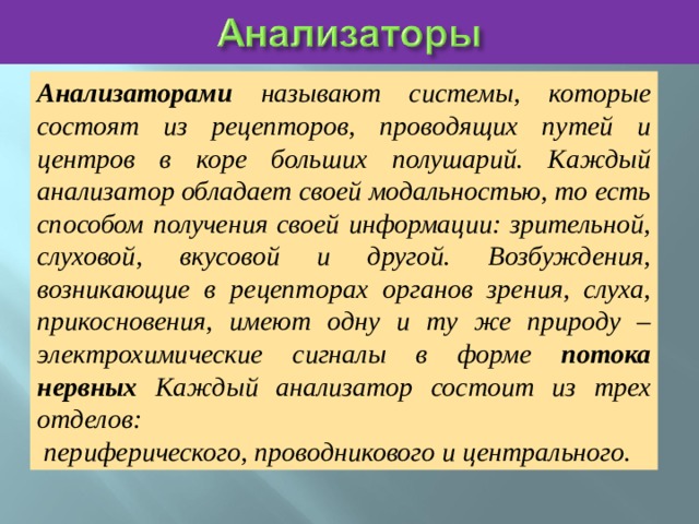 Анализаторами называют системы, которые состоят из рецепторов, проводящих путей и центров в коре больших полушарий. Каждый анализатор обладает своей модальностью, то есть способом получения своей информации: зрительной, слуховой, вкусовой и другой. Возбуждения, возникающие в рецепторах органов зрения, слуха, прикосновения, имеют одну и ту же природу – электрохимические сигналы в форме потока нервных Каждый анализатор состоит из трех отделов:  периферического, проводникового и центрального. 