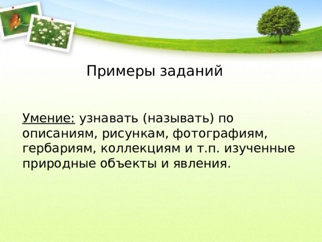 Примеры заданий Умение: узнавать (называть) по описаниям, рисункам, фотографиям, гербариям, коллекциям и т.п. изученные природные объекты и явления. 