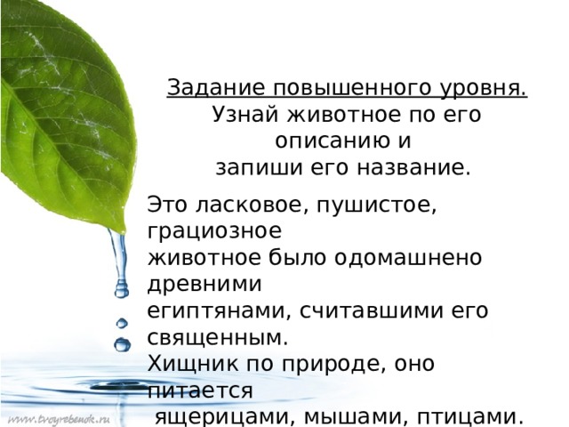 Задание повышенного уровня. Узнай животное по его описанию и запиши его название. Это ласковое, пушистое, грациозное животное было одомашнено древними египтянами, считавшими его священным. Хищник по природе, оно питается  ящерицами, мышами, птицами. Это животное - ___________________ 