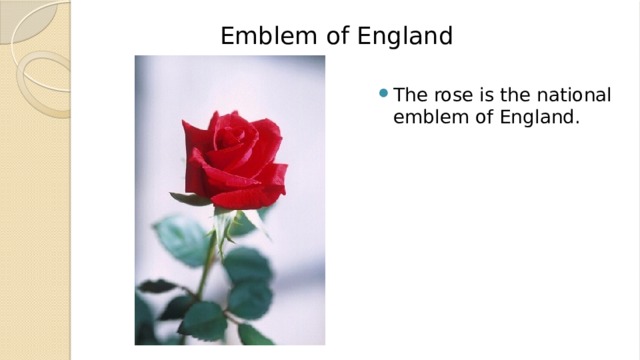 Emblem of England The rose is the national emblem of England. 