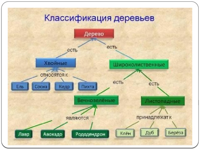 Может ли карта понятий выполненная группой учащихся оцениваться в баллах