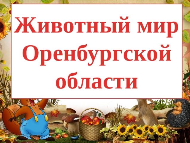 Животный мир Оренбургской области 