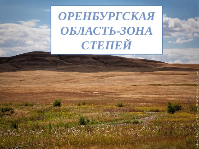 Оренбургская область-зона степей 