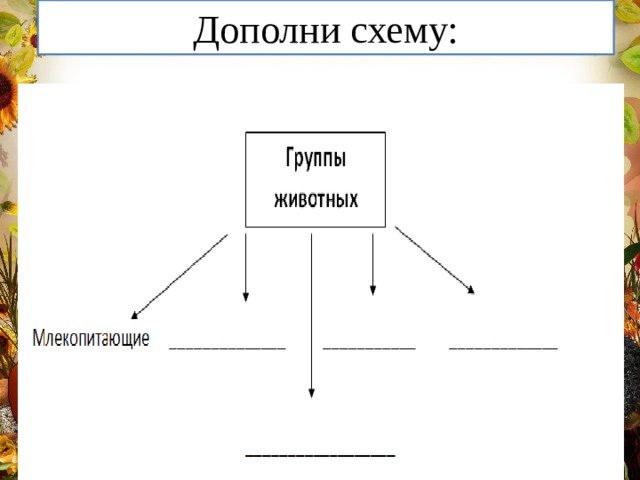 Дополни схему: 