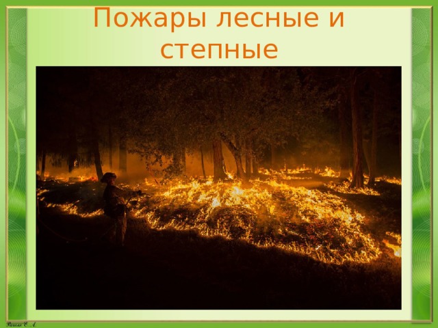 Пожары лесные и степные 