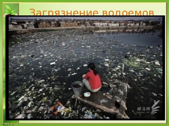 Загрязнение водоемов 