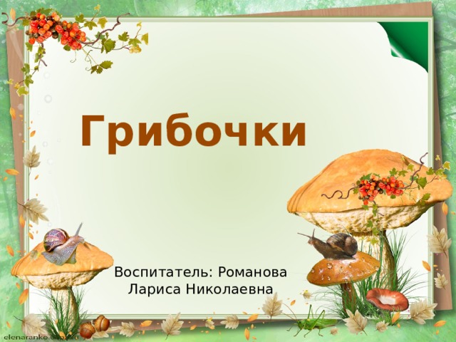Грибочки Воспитатель: Романова Лариса Николаевна 