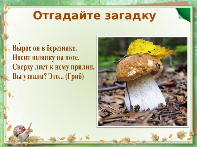 Отгадайте загадку . 