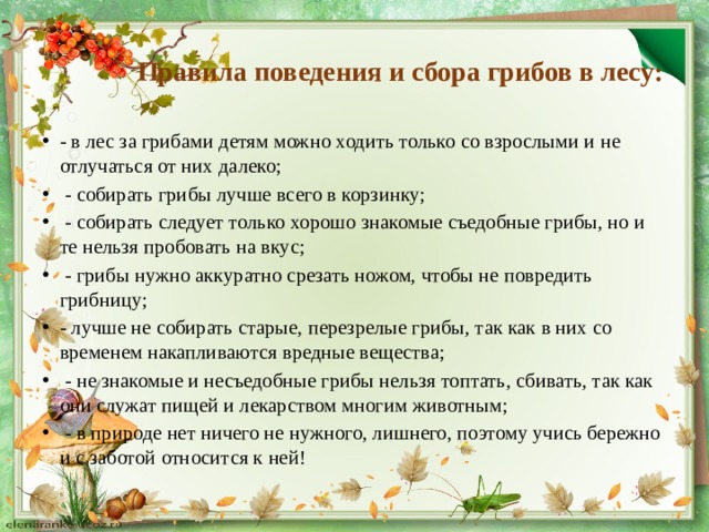 Правила поведения и сбора грибов в лесу: - в лес за грибами детям можно ходить только со взрослыми и не отлучаться от них далеко;  - собирать грибы лучше всего в корзинку;  - собирать следует только хорошо знакомые съедобные грибы, но и те нельзя пробовать на вкус;  - грибы нужно аккуратно срезать ножом, чтобы не повредить грибницу; - лучше не собирать старые, перезрелые грибы, так как в них со временем накапливаются вредные вещества;  - не знакомые и несъедобные грибы нельзя топтать, сбивать, так как они служат пищей и лекарством многим животным;  - в природе нет ничего не нужного, лишнего, поэтому учись бережно и с заботой относится к ней! 