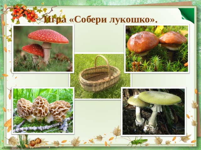 Игра «Собери лукошко». 