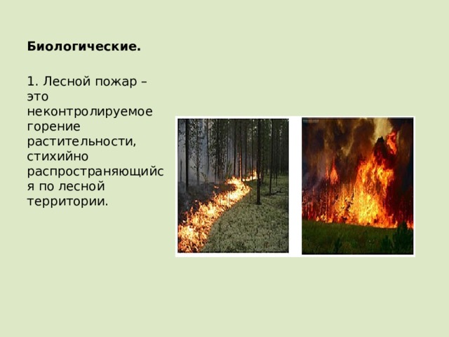 Биологические.   1. Лесной пожар – это неконтролируемое горение растительности, стихийно распространяющийся по лесной территории. 
