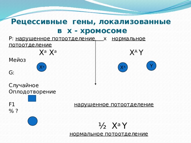 Рецессивные гены, локализованные в х - хромосоме P: нарушенное потоотделение x нормальное потоотделение  Х а Х а  Х А Y Мейоз  G: Случайное Оплодотворение F1 нарушенное потоотделение % ?  ½ X a Y  нормальное потоотделение  1/2 Х А Х а Y Х а Х А 