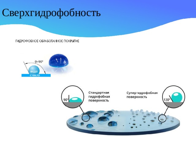 Сверхгидрофобность
