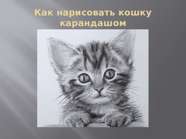 Как нарисовать кошку карандашом / 