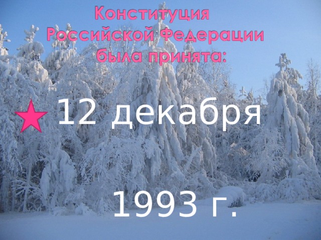 12 декабря  1993 г.