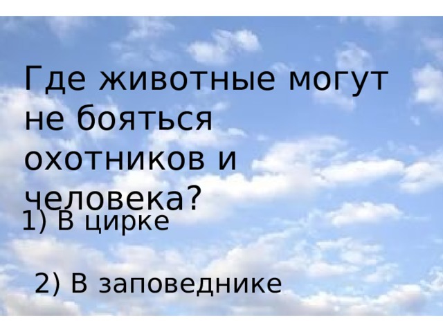Где животные могут не бояться охотников и человека? 1) В цирке 2) В заповеднике