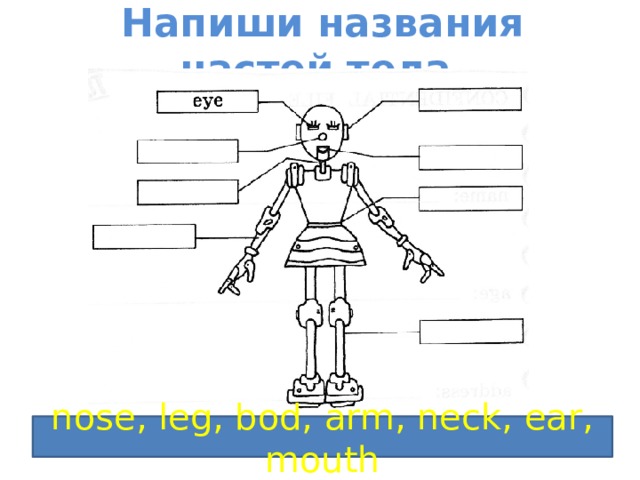 Части тела английский язык 2 класс презентация