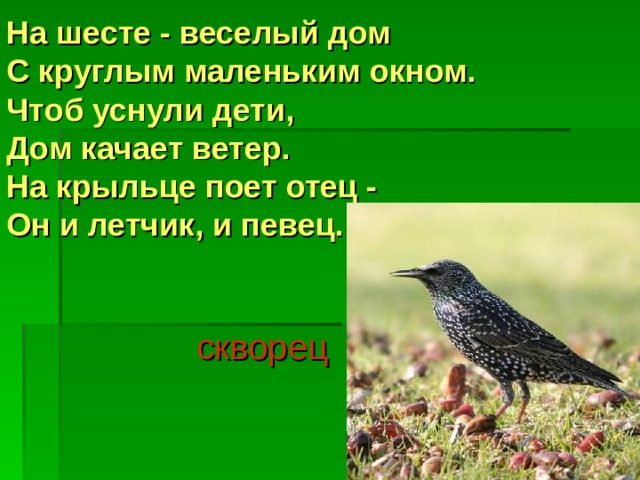 На шесте - веселый дом  С круглым маленьким окном.  Чтоб уснули дети,  Дом качает ветер.  На крыльце поет отец -  Он и летчик, и певец.     скворец 