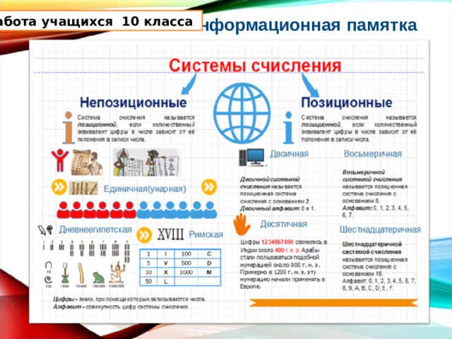 Занятия инфографика