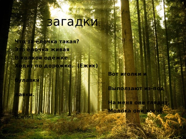 загадки :   Что за ёлочка такая? Это ёлочка живая В колкой одёжке Ходит по дорожке. (Ежик)  Вот иголки и булавки  Выползают из-под лавки.  На меня они глядят,  Молока они хотят. (Ежик) 