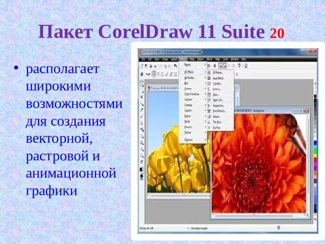 Пакет CorelDraw 11 Suite 20 располагает широкими возможностями для создания векторной, растровой и анимационной графики 