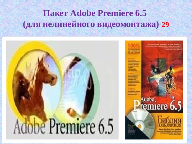 Пакет Adobe Premiere 6.5  (для нелинейного видеомонтажа) 29 