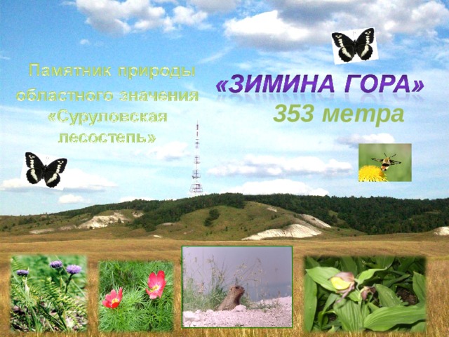  353 метра 
