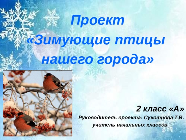       Проект «Зимующие птицы нашего города»    2 класс «А» Руководитель проекта: Сукотнова Т.В.  учитель начальных классов   