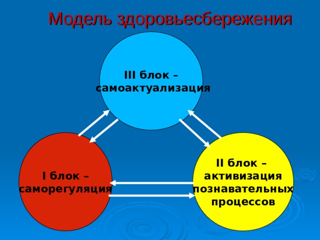  Модель здоровьесбережения  III блок –  самоактуализация I блок – саморегуляция II блок – активизация познавательных процессов 