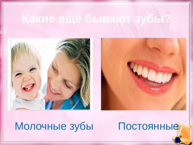 Какие ещё бывают зубы? Молочные зубы  Постоянные  