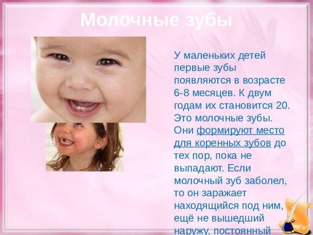 Молочные зубы  У маленьких детей первые зубы появляются в возрасте 6-8 месяцев. К двум годам их становится 20. Это молочные зубы. Они формируют место для коренных зубов до тех пор, пока не выпадают. Если молочный зуб заболел, то он заражает находящийся под ним, ещё не вышедший наружу, постоянный зубик.  