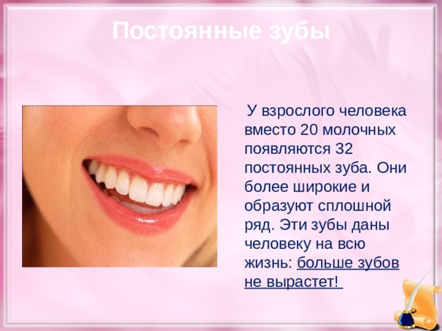 Постоянные зубы  У взрослого человека вместо 20 молочных появляются 32 постоянных зуба. Они более широкие и образуют сплошной ряд. Эти зубы даны человеку на всю жизнь: больше зубов не вырастет!  