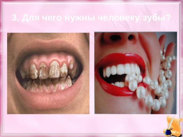 3. Для чего нужны человеку зубы?  