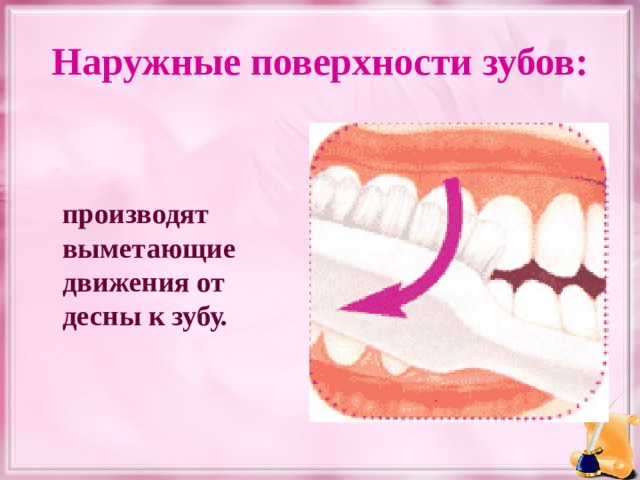 Наружные поверхности зубов:  производят выметающие движения от десны к зубу.  