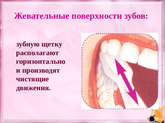 Жевательные поверхности зубов:   зубную щетку располагают горизонтально и производят чистящие движения.  
