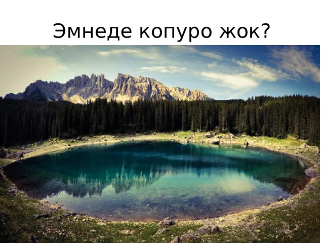 Эмнеде копуро жок? 