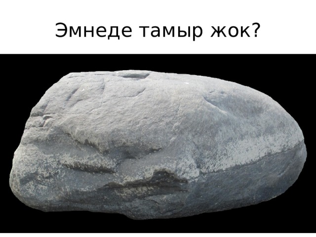 Эмнеде тамыр жок? 