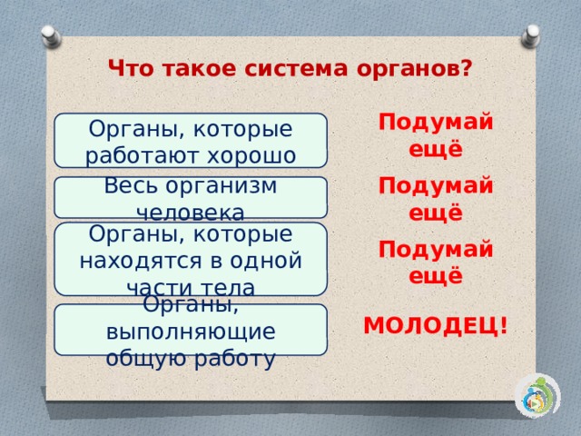 Окружающий мир 3 класс организм человека