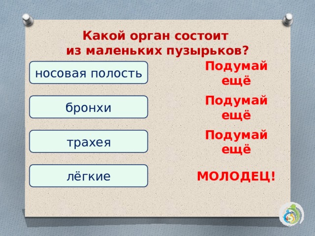 Тесты окружающий мир 3 класс органы чувств