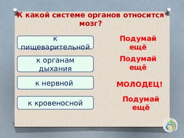 Тест по окружающему 3 класс органы чувств