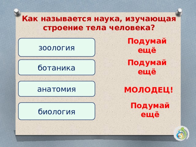 Наука изучающая строение. Наука изучающая строение тела. Как называется наука изучающая строение. Науки, изучающие строение организма человека. Как называется наука тела человека.