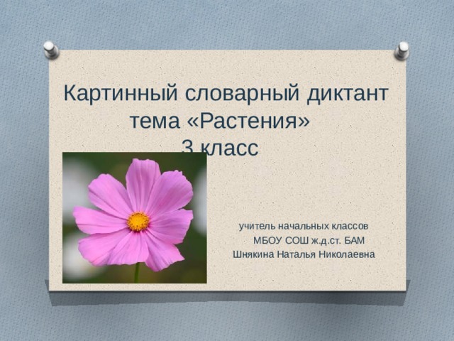 Картинный словарный диктант 3 класс школа россии презентация