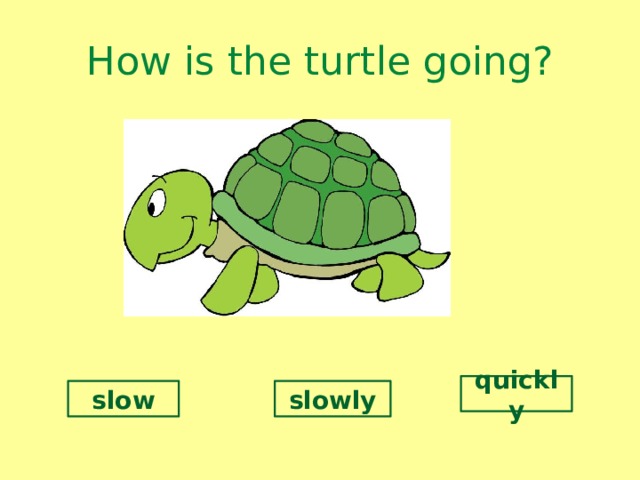 How is the turtle going? quickly slow slowly 